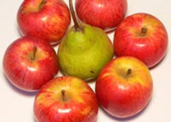 Appels en peer